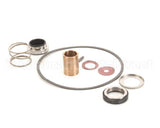 22462 Power Soak Systems Pump Seal Kit - Burks ( I )