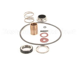 22462 Power Soak Systems Pump Seal Kit - Burks ( I )