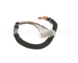 22A327 Ultrafryer Cable, Ignition P2 F/(S87B)Ignitor Modul