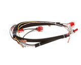 22A354 Ultrafryer Cable, Ignition P3 F/(S87B)Ign