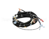 22A669 Ultrafryer Cable, Main Bank P3 Ph Basic