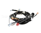 22A669 Ultrafryer Cable, Main Bank P3 Ph Basic