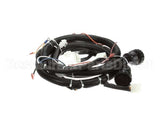 22A675 Ultrafryer Cable, Main Bank W/24C Gas Valve & Fan R