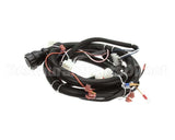 22A675 Ultrafryer Cable, Main Bank W/24C Gas Valve & Fan R