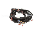 22A675 Ultrafryer Cable, Main Bank W/24C Gas Valve & Fan R