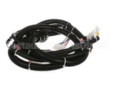 22A826 Ultrafryer Wiring Harness