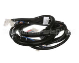 22A826 Ultrafryer Wiring Harness