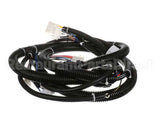 22A826 Ultrafryer Wiring Harness
