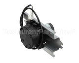 231-00381 Grindmaster Cecilware Pump Motor Single 120/250V 300