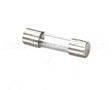 23A333 Ultrafryer Fuse, 10Amp 250V 5Mmx20Mm Power Dist Bx