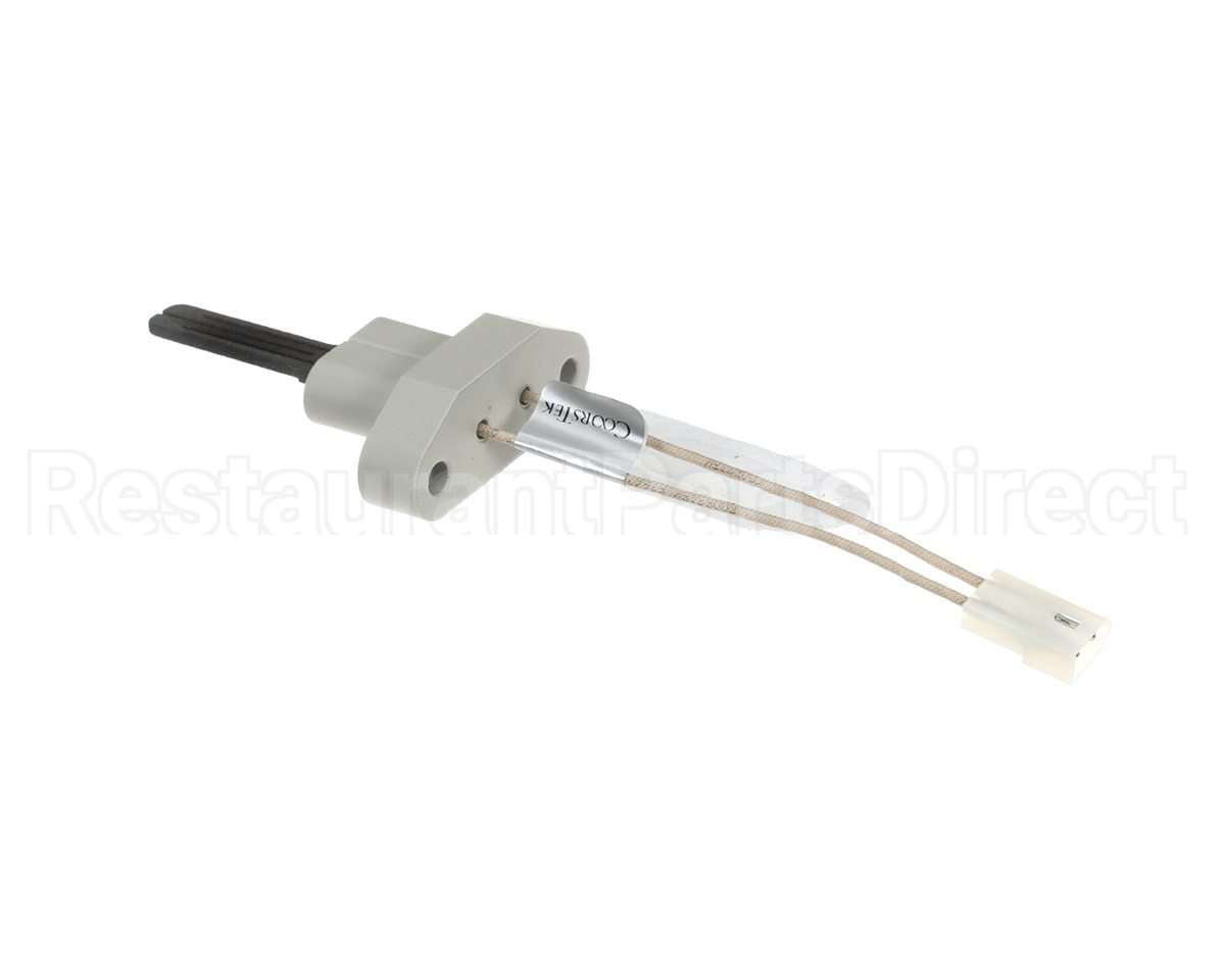 2400-286 Bradford White Ignitor W/Gasket