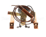2400100 Kairak Valve, Exp Sbfs-Aa-C, 3/8