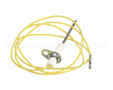24376701 International Comfort Pro Sensor Flame Hsi Sk