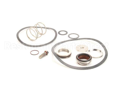 24463 Power Soak Systems Pump Seal Kit - Worthington (