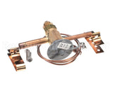 24721000 Arneg Expansion Valve