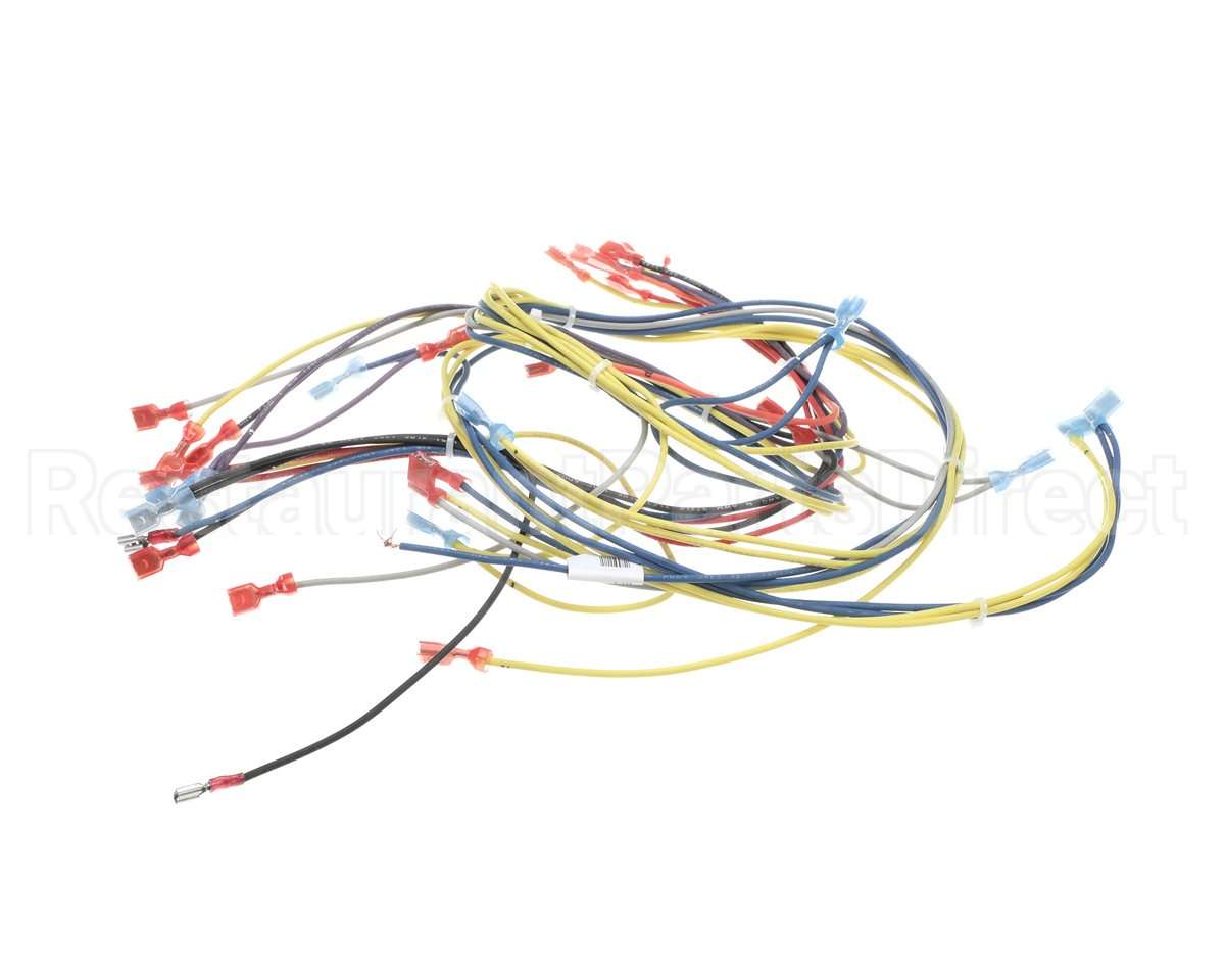 24920 Blodgett Harness,Wiring