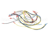 24920 Blodgett Harness,Wiring