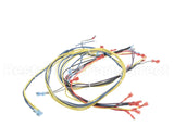 24920 Blodgett Harness,Wiring