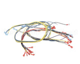 24920 Blodgett Harness,Wiring