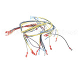 24920 Blodgett Harness,Wiring