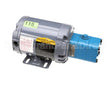 24A184 Ultrafryer Pump/Motor Assembly, 5.5 Gpm Baldor 115