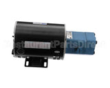 24A372 Ultrafryer Pump/Motor Assembly, 7.6 Gpm H Mt Class