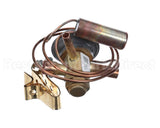 24K14 Lennox 100679-74, Sporlan Bbize-6-Ga, Expansion