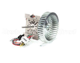 250-1029 Nu-Vu Kit,Motor,1/3Hpdv,10"Cage 120V