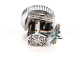 250-1065 Nu-Vu Kit,Motor,1/3Hpdv,10Cage 120V