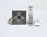 250-2010 Nu-Vu Kit,Repl,Motor, Am 120V