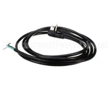 2500129081 Jade Cord/Plug Assembly
