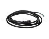 2500129081 Jade Cord/Plug Assembly