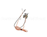 2500143282 Jade Pilot W/ Electrode (Ng)