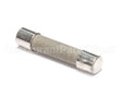 2511493 Manitowoc Ice Fuse, 10 Amp