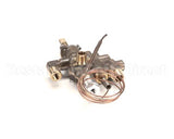 25614-5 Montague Thermostat/Safety