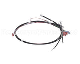 26081.0003 Bunn Wiring Harn, 200-240V On/Off