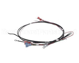 26081.0003 Bunn Wiring Harn, 200-240V On/Off