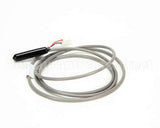 26155 Silver King Thermistor