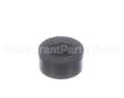 2618311 Cornelius Valve Seat