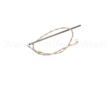 26249 Henny Penny Assembly-Probe 6