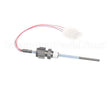 2660-068 Concordia Beverage Assy Temp Lvl Probe Xt