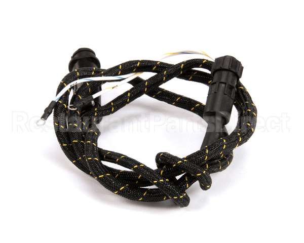 27848 Power Soak Systems Harness Wiring Rin/San Ps-200