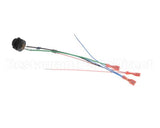 28766.0000 Bunn Wire Assembly, Probe-Refill