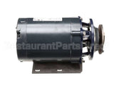 288-1049 American Dish Service Pump Assembly, Pumped Rinse,