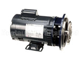 288-1064 American Dish Service Pump Assembly, Pre-Wash Thru