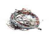 29067.0001 Bunn Wiring Harness,Mn 120/240V W/Hwv