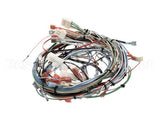 29067.0001 Bunn Wiring Harness,Mn 120/240V W/Hwv