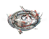 29067.0001 Bunn Wiring Harness,Mn 120/240V W/Hwv