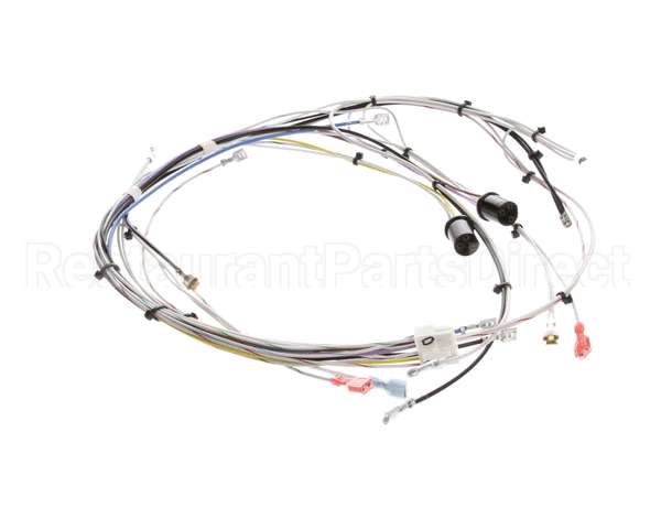 29072.0000 Bunn Wiring Harn,Main-Cdbc 120V
