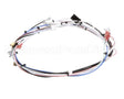 29072.0016 Bunn Wiring Harn,Main 120V 1L/2U
